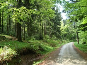 Gasthof Buglhof (Sankt Englmar)-Naturgefühle...