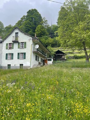 Exteriör