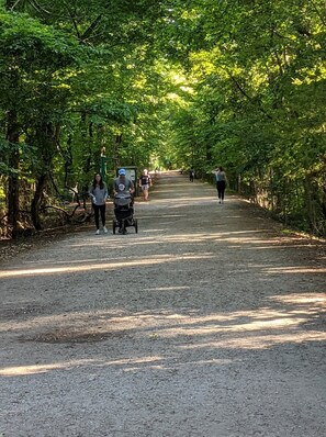 The Trails behind the Condo are Beautiful, Friendly, & Safe!