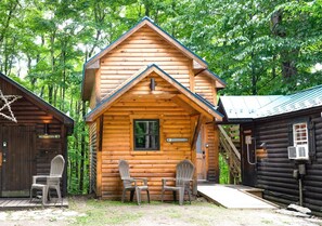 Alpine cabin