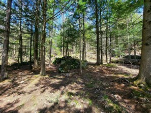 Boendeområde