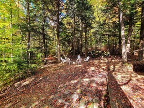 View of backyard