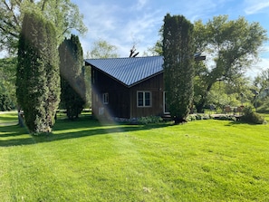 Back yard