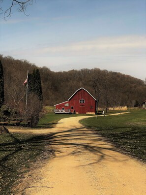 Barn in rear of property