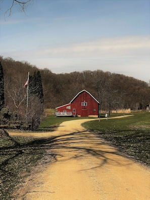 Barn in rear of property