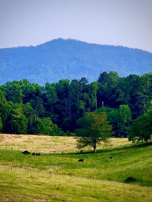 Terrain de l’hébergement 