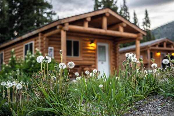 The Cabin