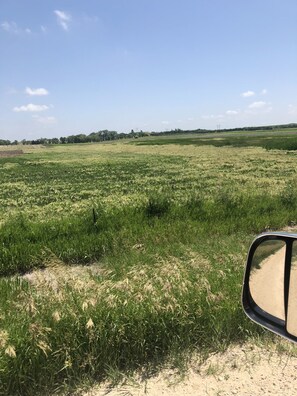 160 acres of Gods Country