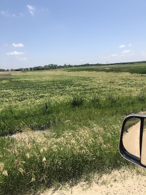 160 acres of Gods Country