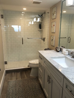 Full Bathroom with walk in Shower