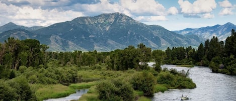 Snake River with Mount Baldy in the background