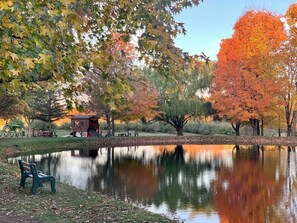 Beautiful view of the pond off the back patio