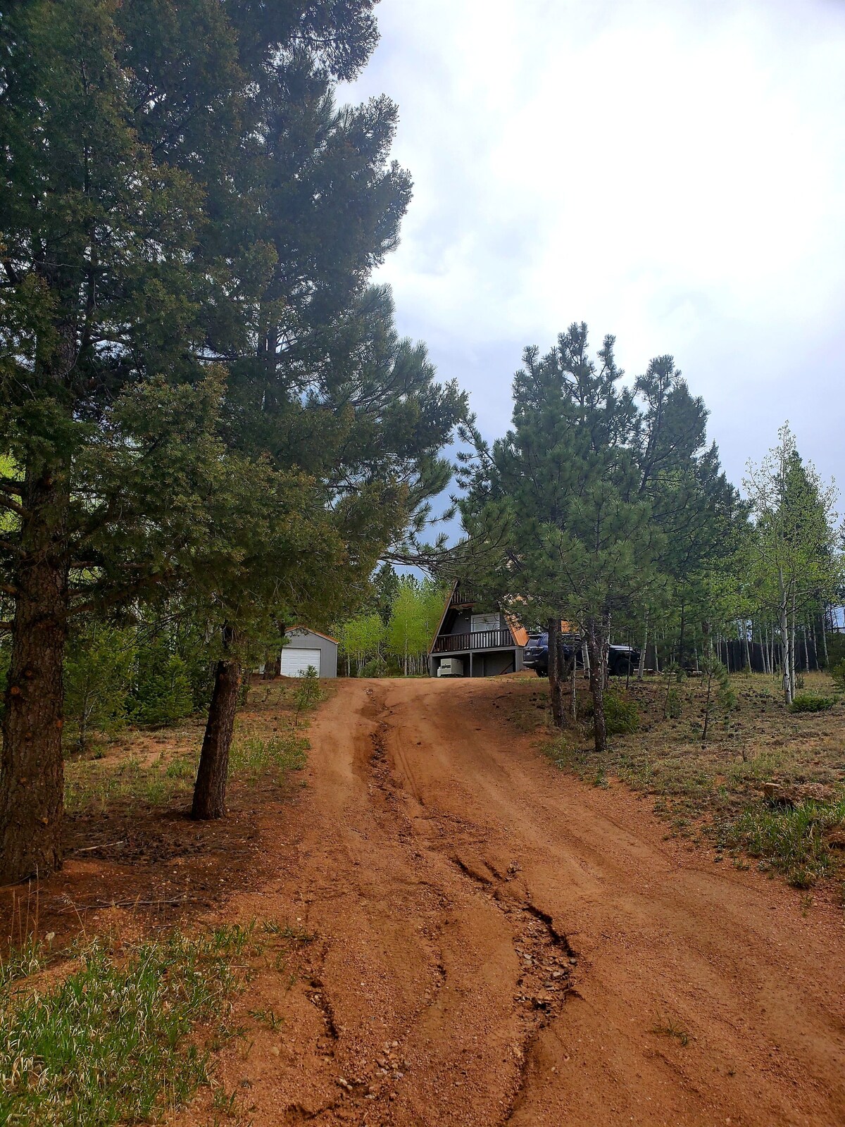 Main Image