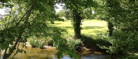 La rivière Marmagne passe dans la propriété