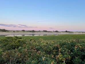 The Ogunquit River in summer.