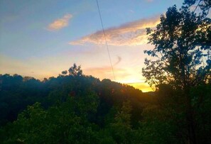 Photo non classée, 5 sur 17, bouton