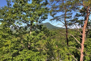 Great Views - Just wait till the leaves are gone