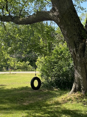 A tire swing available year round