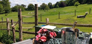 Wonderful open views from the deck, with our 18 alpacas close by!