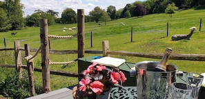 Wonderful open views from the deck, with our 18 alpacas close by!