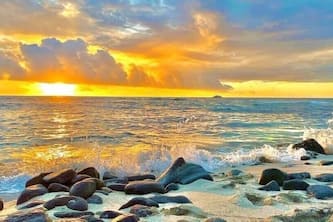 Cosy Studio in a downtown Kona. Convenient Location. Walkable to shops & Beach