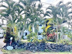 Street view. The building is surrounding by lush Tropical Garden