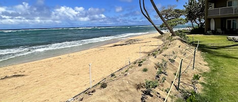 Our unit is the ground floor corner with the surfboard on the lanai. 