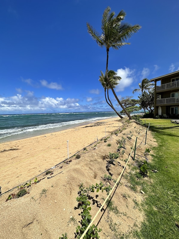 Our unit is the ground floor corner with the surfboard on the lanai. 