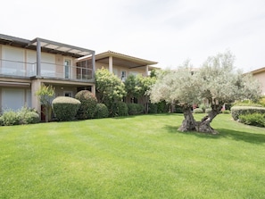 Plant, Sky, Building, Cloud, Window, Tree, Land Lot, House, Grass, Residential Area