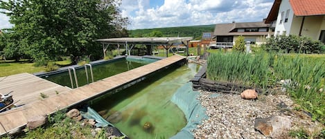 Natürlicher Schwimmteich mit Einstiegsmöglichkeit und Steg