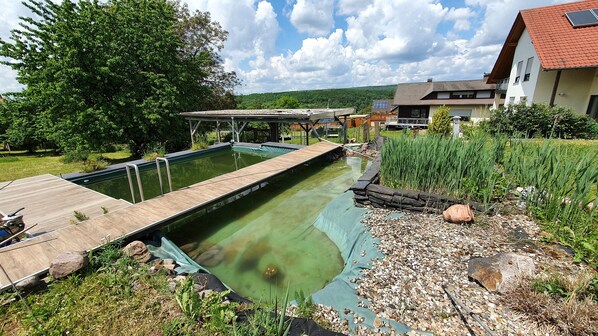 Natürlicher Schwimmteich mit Einstiegsmöglichkeit und Steg