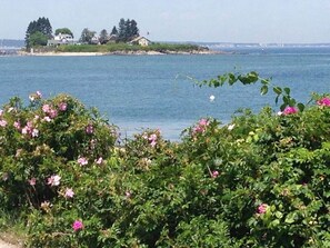 View of the island you can walk out to at low tide on the beautiful sandbars