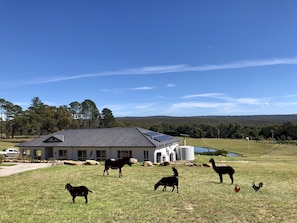 Terrenos do alojamento