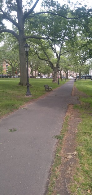 Property grounds
