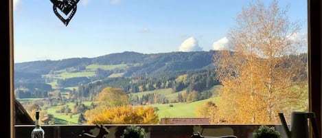 Panoramablick von der Wohnung „Almherzl“ in der Sommerzeit