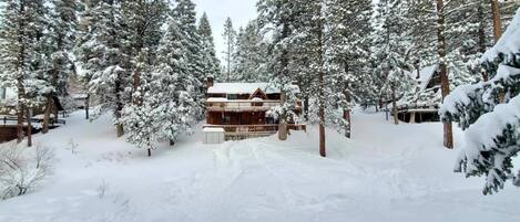 View of our backyard on Feb. 25, 2023 (Taken by a guest.)