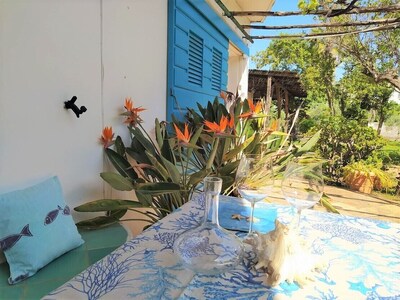 Picture of villa