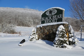 Located in Black Bear Resort in Canaan Valley. 