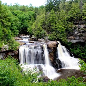 Blackwater Falls. 10 minute drive from the resort