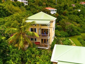 The palm tree off of our back porch inspired us to name our condo "Palmy Daze"