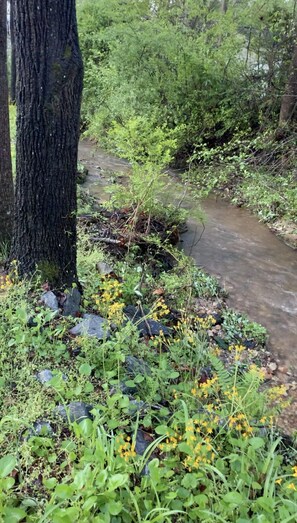 Terrain de l’hébergement 