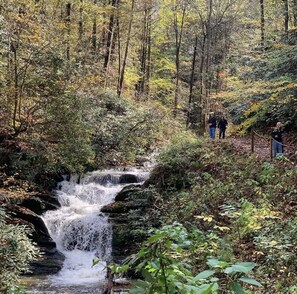 On-Site Hiking Trails, Beautiful Creek, and Waterfall!