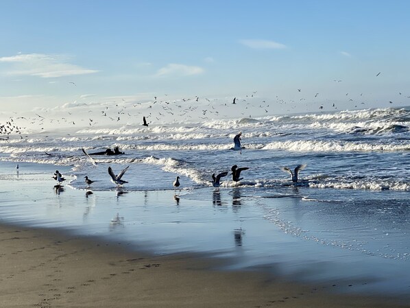 Beach