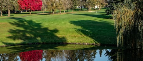 CORVALLIS CLUB - SPECTACULAR GOLF COURSE