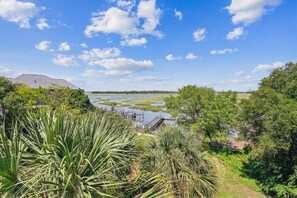 look out over the marsh 