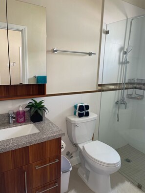 En-suite bathroom for Master bedroom