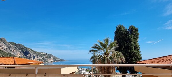 Vue panoramique depuis l’appartement 