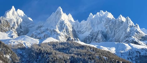 Terrain de l’hébergement 