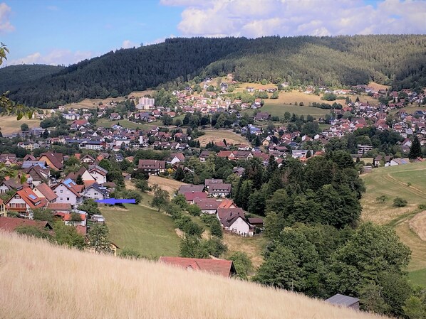 Baiersbronn, Lage des Hauses