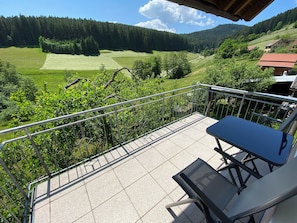 Südbalkon Blick nach West - sehr ruhig mit Hasen + Rehen